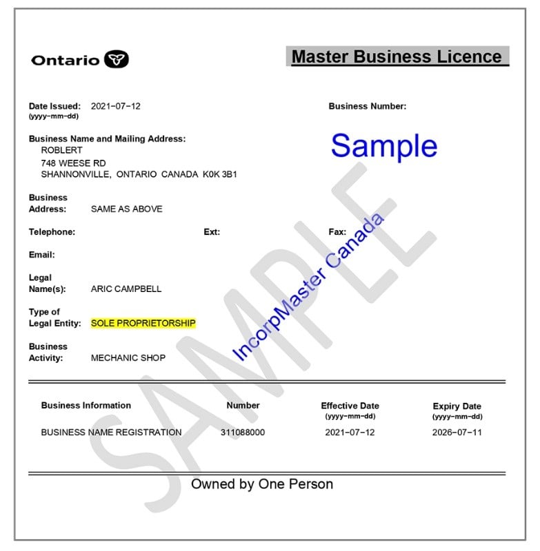 master business license renewal ontario